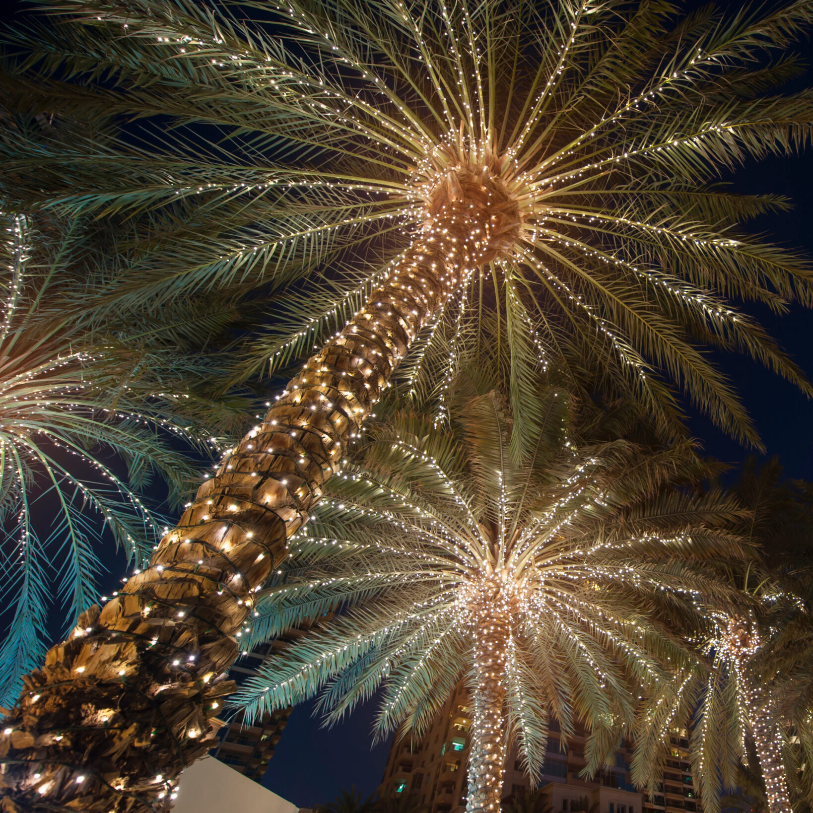 Holiday Seasonal Lighting