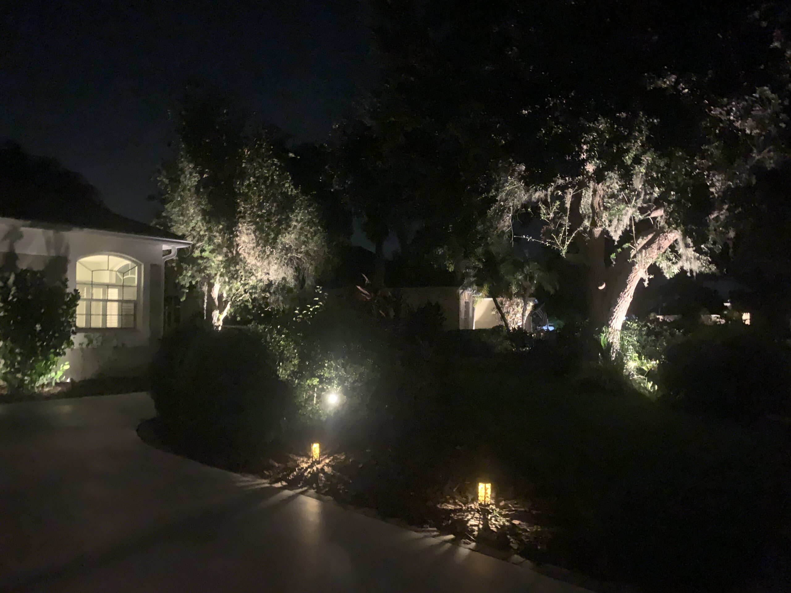 Exterior Accent Tree Lighting