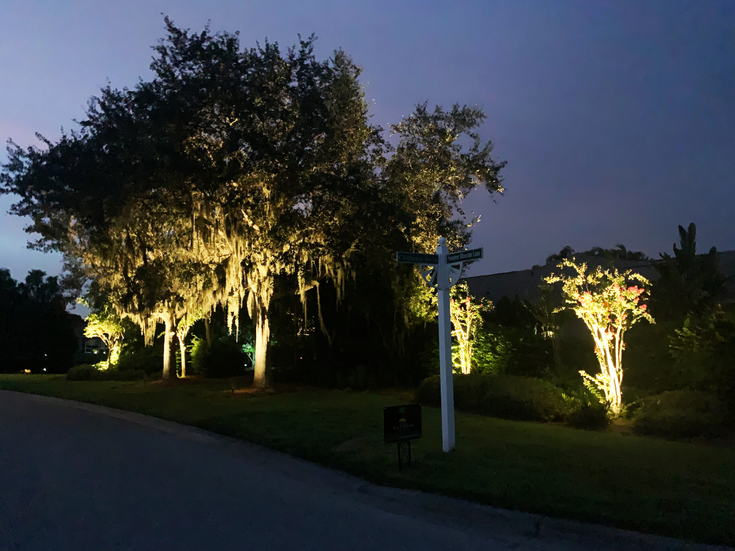Lanai Lightscaping, Lightscape, Lakewood Ranch Out door lights, Pool Lighting, deck lighting, natural tree lighting.